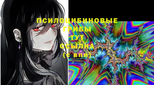 spice Белокуриха