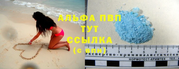 spice Белокуриха