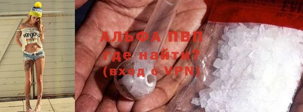 spice Белокуриха