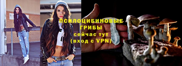 spice Белокуриха