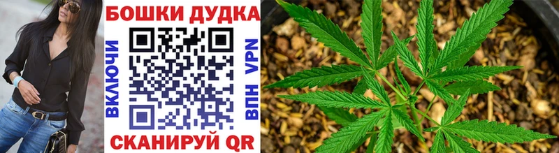 Бошки Шишки ГИДРОПОН  закладка  Светлогорск 